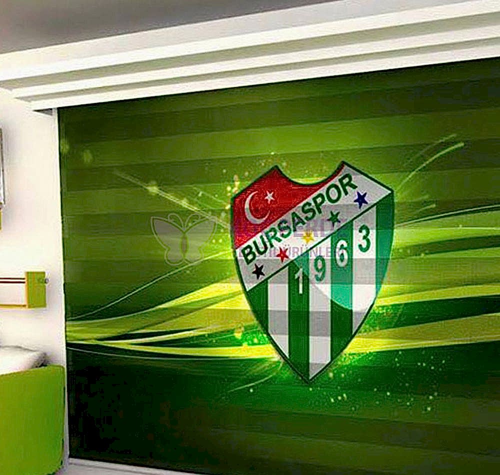 Dijital Baskı Zebra Perde 4