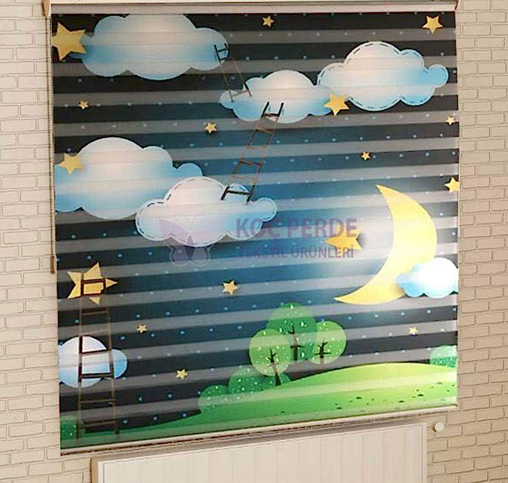 Dijital Baskı Zebra Perde 6