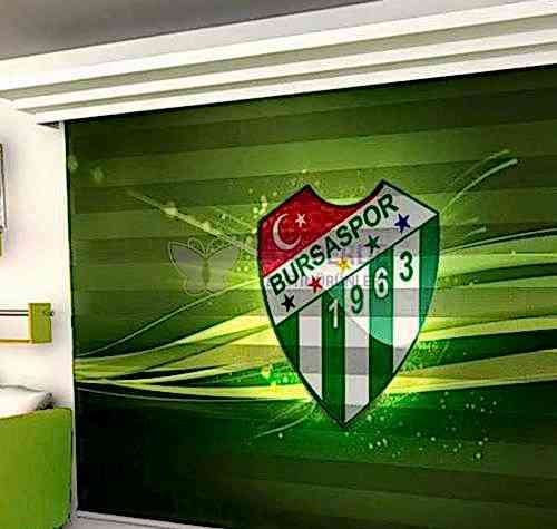 Dijital Baskı Zebra Perde 4